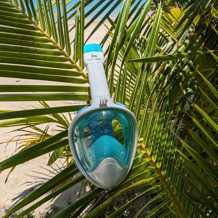 Image du produit Mint Lama Freebreath