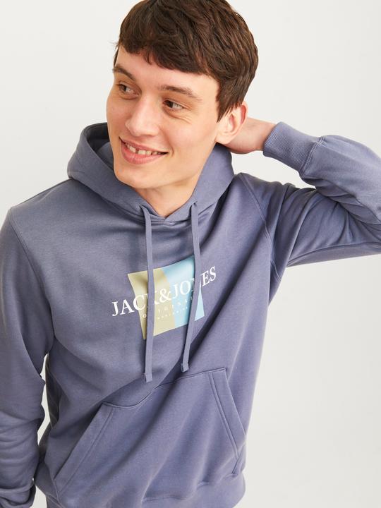 Actual product image Jack & Jones Jorfrederiksberg Box Sweat Hood Sn (XS)