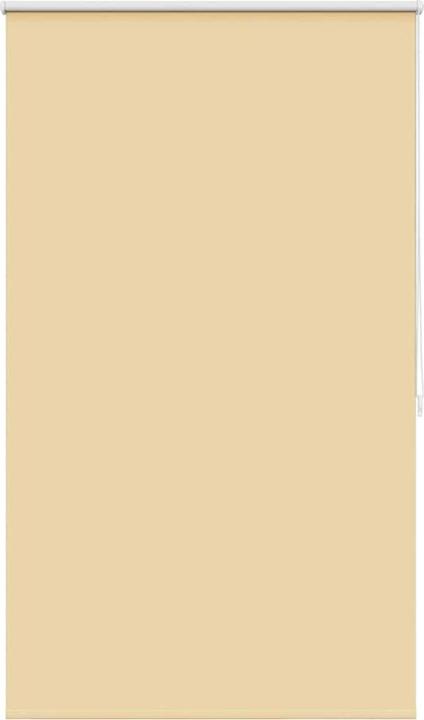 Immagine prodotto VidaXL Aulikki (100 x 175 cm)