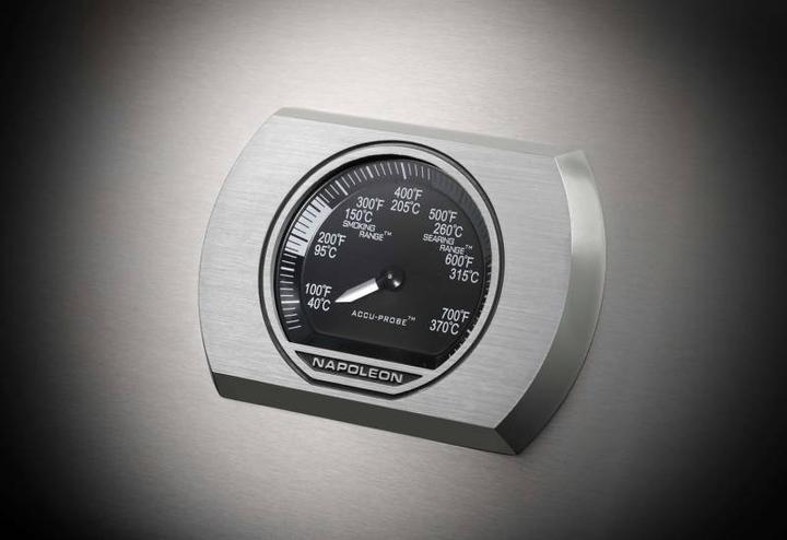 Immagine prodotto Napoleon Rogue XT 425 SIB Edelstahl (17.25 kW)