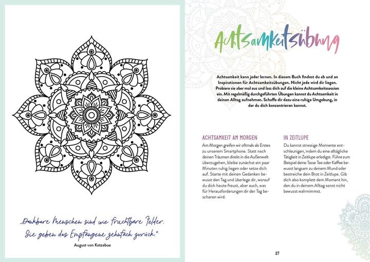 Actual product image Notebook Bullet Journal Mandala 21.6 x 15.3 cm (21.6 x 15.3 cm, Plain, Hardcover)