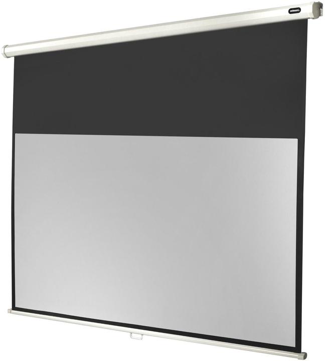 Actual product image Celexon Rollo Economy, Canvas, 16:9 (137.80", 16:9)