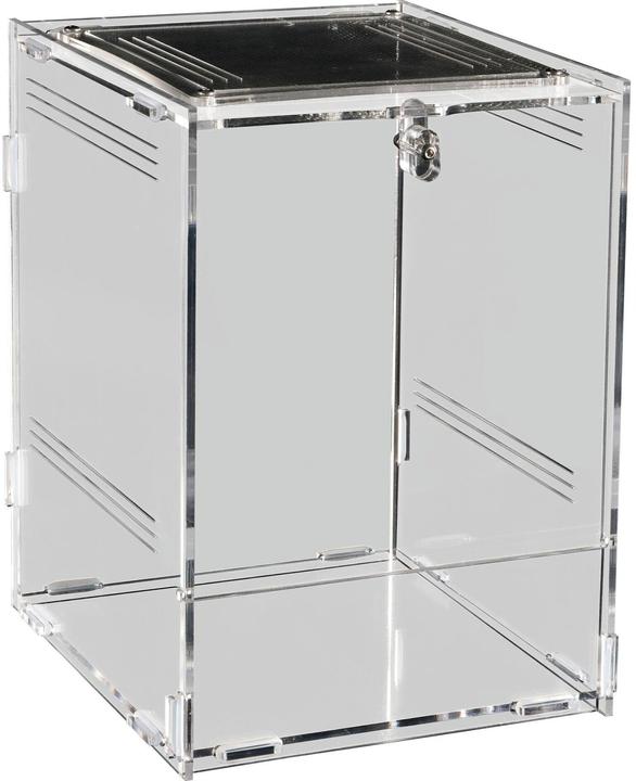 Image du produit Repto Plant Terrarium Plexi, 15 x 17 x 22 cm
