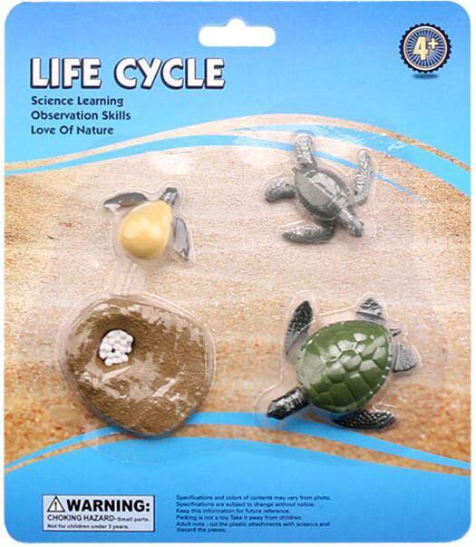 Actual product image Life cycle turtle toy figure set