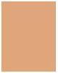 Produktbild Sensai Luminous Sheer Foundation (#LS202 Ochre Beige)