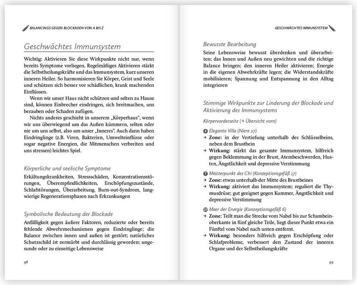 Immagine prodotto Künne:Stimmgabeltherapie (Tedesco, Patricia Nischwitz, Thomas Kuenne, 2025)