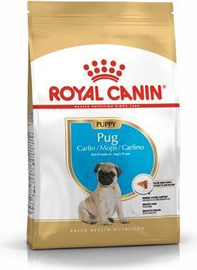 Actual product image Royal Canin Pug Junior (Junior, 1 pcs., 1500 g)