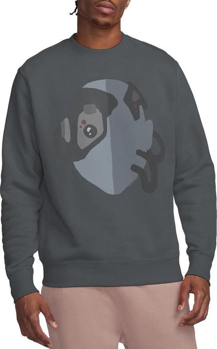 Actual product image Unisex Adult The Borg Sweatshirt (M)