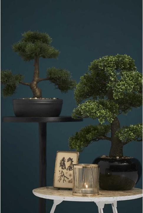 Produktbild Emerald Kunstpflanze (47 cm)