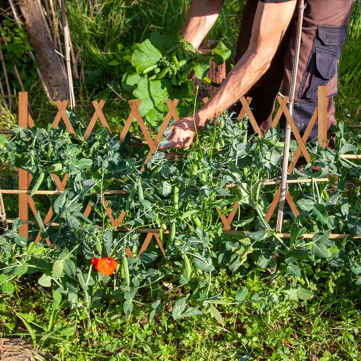 Actual product image Relaxdays Trellis (28 cm, 180 cm)