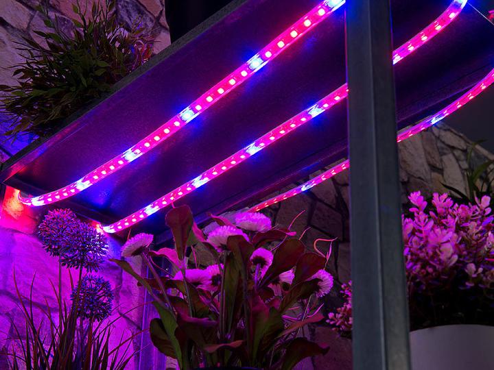 Produktbild Lunartec Pflanzen Wachstums Streifen (LED, 230 V)