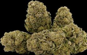 Produktbild Qualicann Habanero Kush (10 g, Indoor)