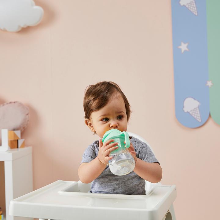Actual product image B.Box Innovative bottle with the Pistachio straw 6m +