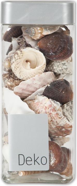 Image du produit Do it + Garden Coquillages