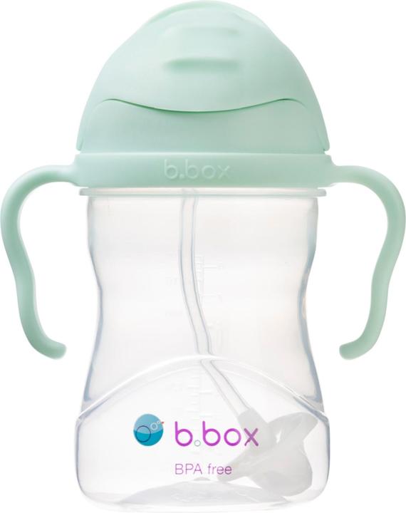 Actual product image B.Box Innovative bottle with the Pistachio straw 6m +
