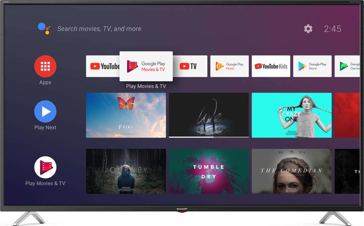 Sharp 50BL3EA (50", BL2EF, LCD, 4K, 2019)