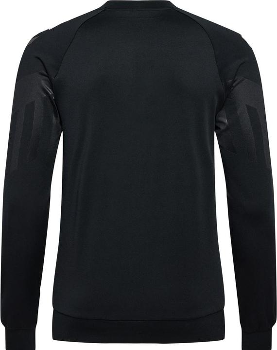 Actual product image hummel Denmark 22 Line Up Men's Track Jacket (L)