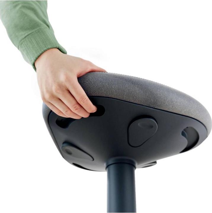 Actual product image Leitz Ergo Active