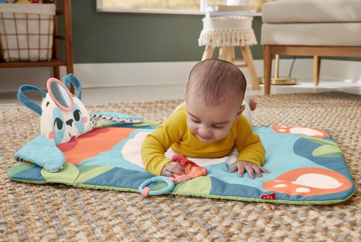 Immagine prodotto Fisher-Price 0