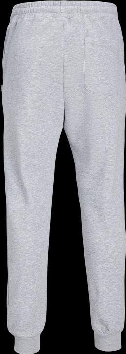 Actual product image Jack & Jones Gordon Bradley Sweat Pants Light Grey (XXL)