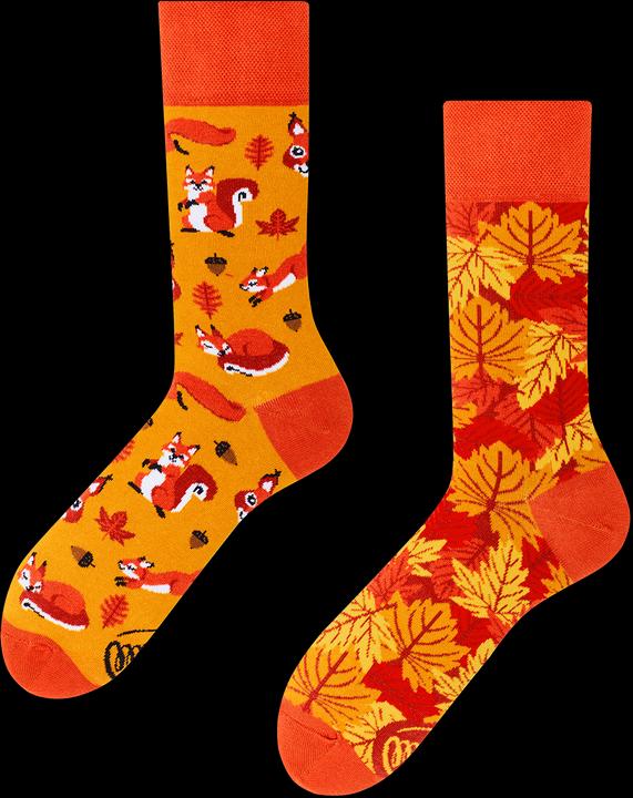 Produktbild Many Mornings The Squirrels (Einzelpack, 35 - 38)