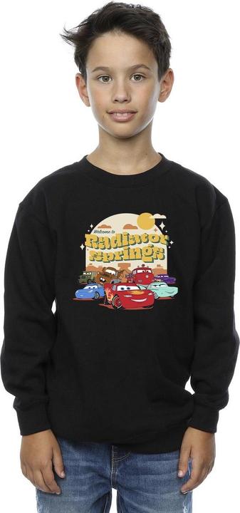 Produktbild Disney Cars Radiator Springs Group Sweatshirt Jungen (152, 158)