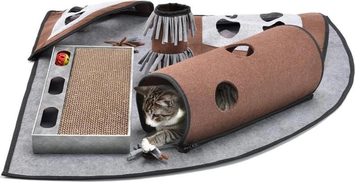 CanadianCat Calvin