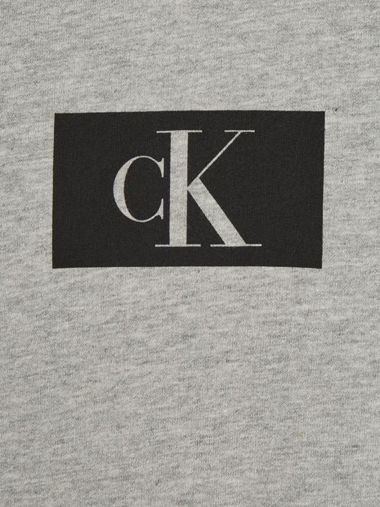 Actual product image Calvin Klein Men's Lounge Hoodie, Grey, M (M)