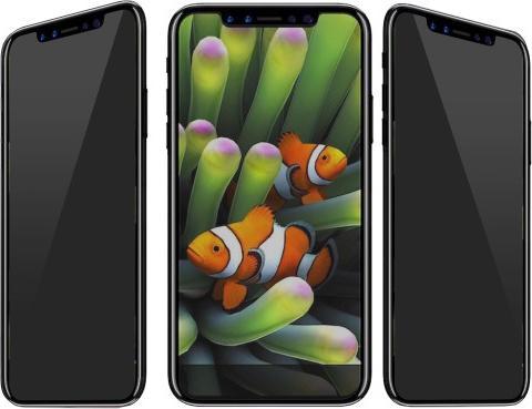 Actual product image Ueli Express iPhone 11 Pro / XS / X screen protector armoured glass with privacy shield (1 Piece, Apple iPhone XS, Apple iPhone 11 Pro, Apple iPhone X)