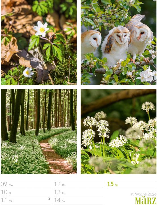 Actual product image Farben der Natur - Wochenplaner Kalender 2026 (25 x 33 cm, Hardcover, German)