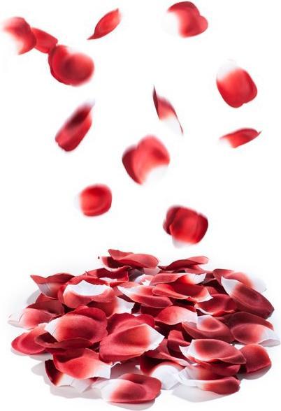Produktbild Bijoux Indiscrets Rose Petal Explosion (Sonstiges)
