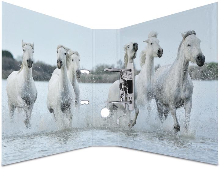 Actual product image HERMA A4 folder motif (A4, 70 mm, 1 Piece)