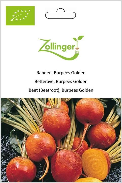 Actual product image Zollinger Bio Beetroot, Burpees Golden
