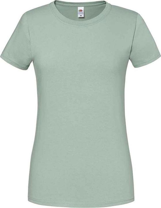 Fruit of the Loom Iconic TShirt (XXL)
