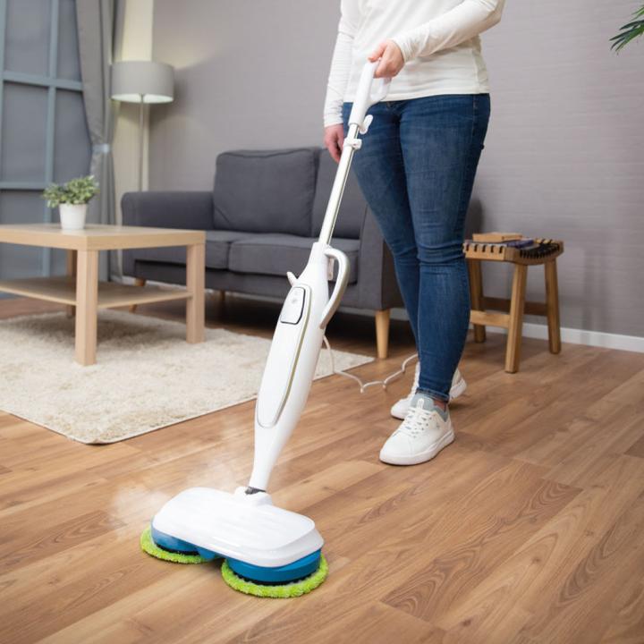 Actual product image Livington Steam Twister Steam Cleaner
