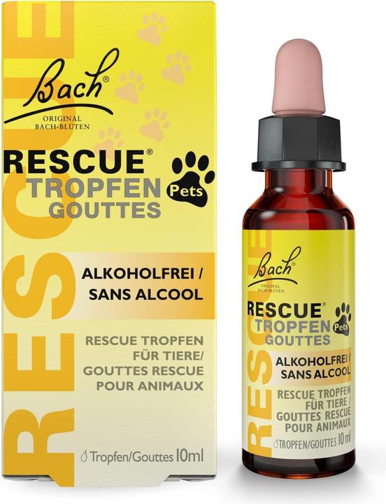 Actual product image Bach Rescue Rescue Original (Dog, 10 ml)