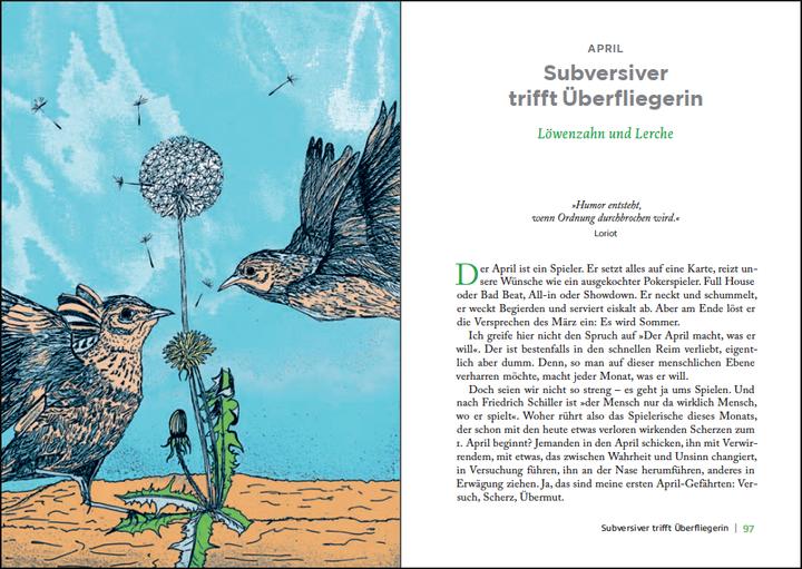 Image du produit Überall ist Garten (Allemand, Eva Rosenkranz, 2019)
