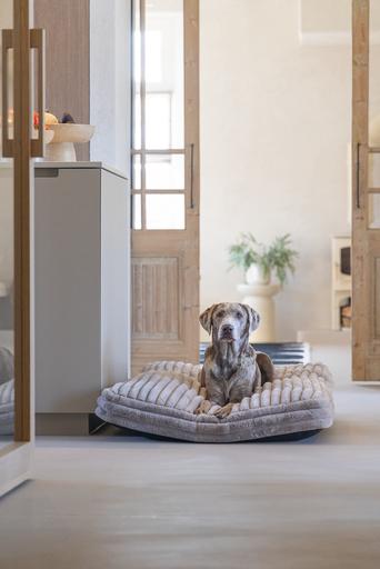 Produktbild Designed by Lotte Liegekissen Reza (Hund)