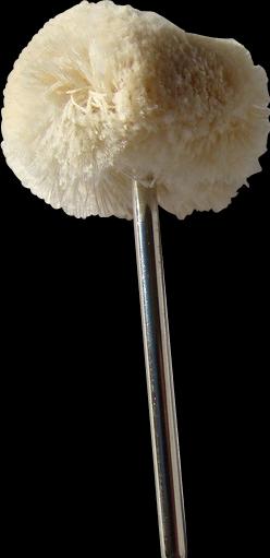 Promed Soft-Polisher (1 x)
