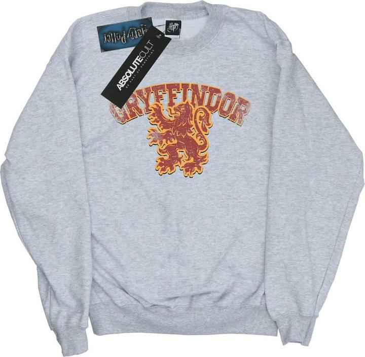 Actual product image Girls Gryffindor Sport Emblem Sweatshirt (152, 158)