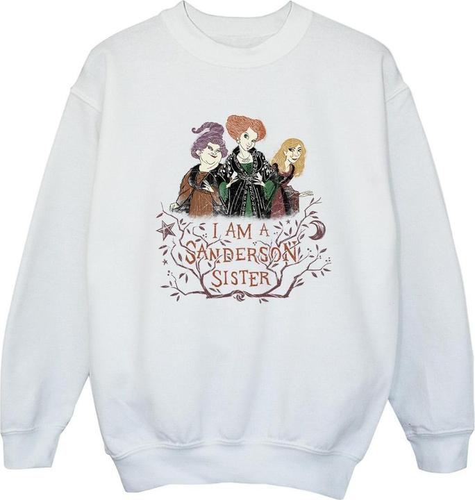 Produktbild Disney Hocus Pocus Sanderson Sister Sweatshirt Mädchen (152, 158)