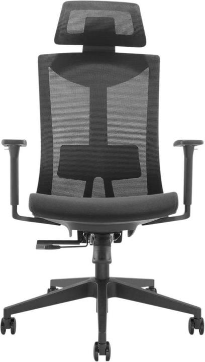 Actual product image Ergo Office ergonomic top chair with high back, max 150kg, ER-414