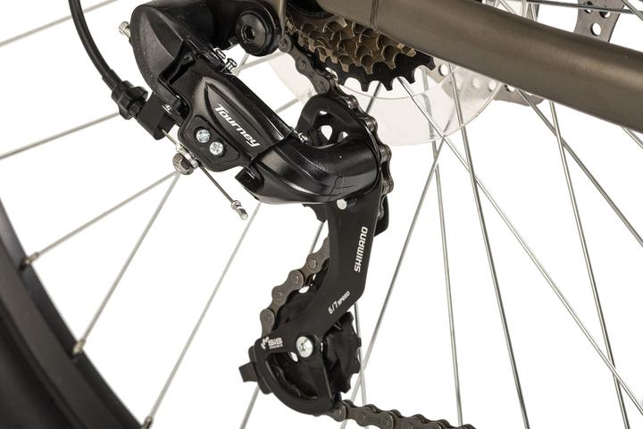 Image du produit Wyld Mountainbike Hardtail 29" Sharp Scheibenbremse platin-grau 21 Gänge (46 cm)