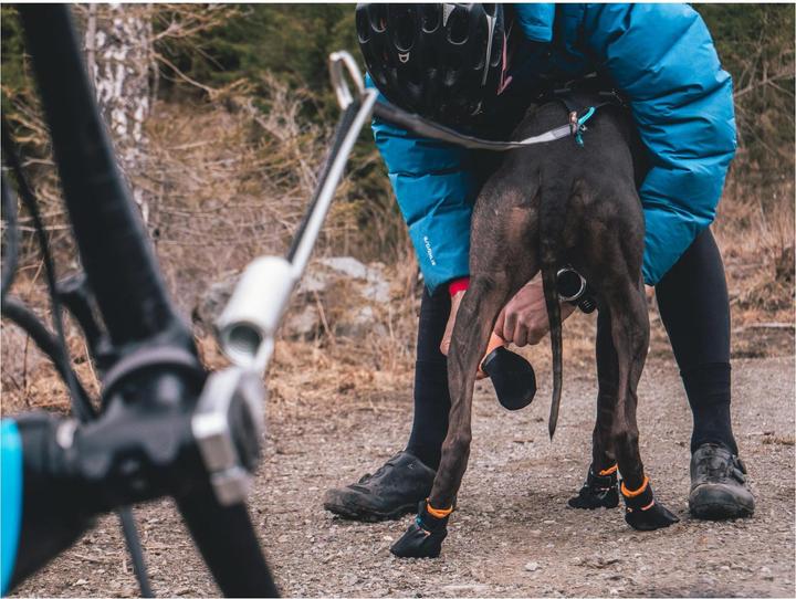 Actual product image Non-Stop Dogwear Protector (M, Dog boots)