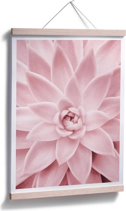 Actual product image Trenddeko Pink succulent (60 x 80 cm)