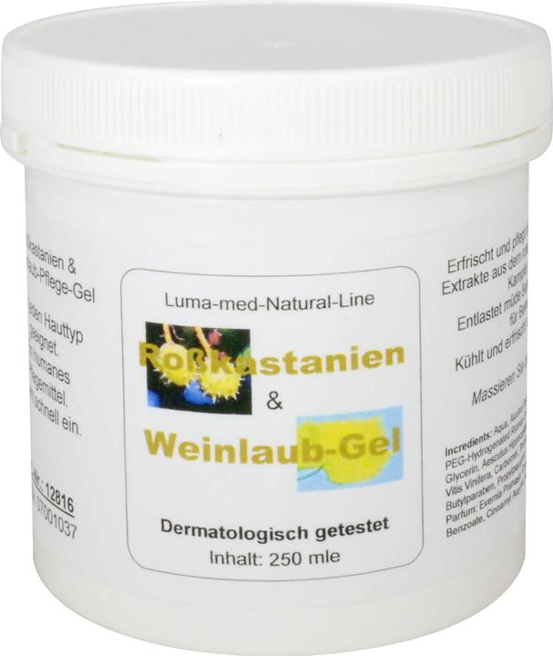 Gel curativo alle foglie di ippocastano, 250 ml GEL (Gel corpo, 250 ml)