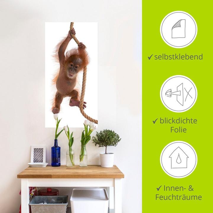 Image du produit Artland Bébé orang-outan suspendu à une corde I T5RI (20 x 40 cm)
