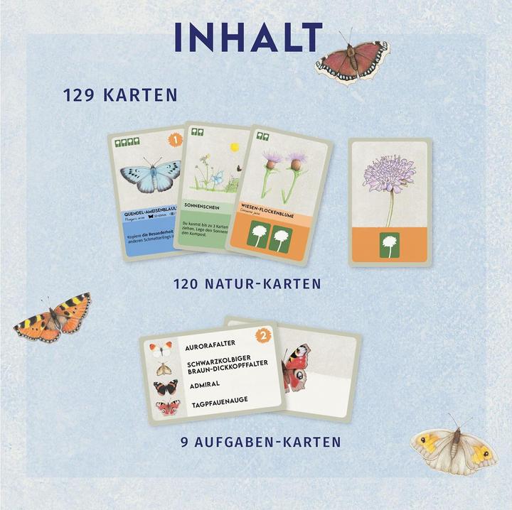 Actual product image Kosmos Flower kingdom (German)