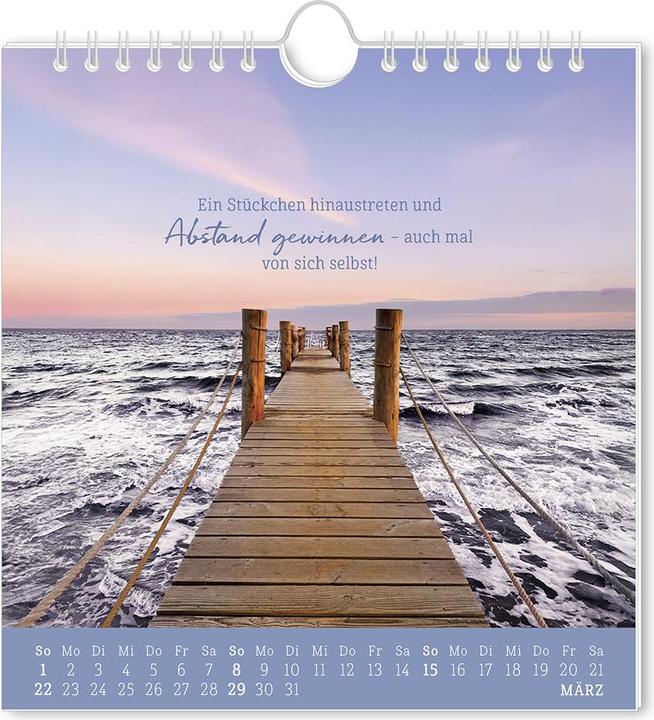 Image du produit Postkartenkalender 2026 Strandgut (16 x 17 cm, Allemand)