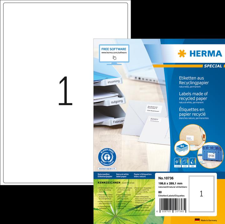Actual product image HERMA Recycling labels A4